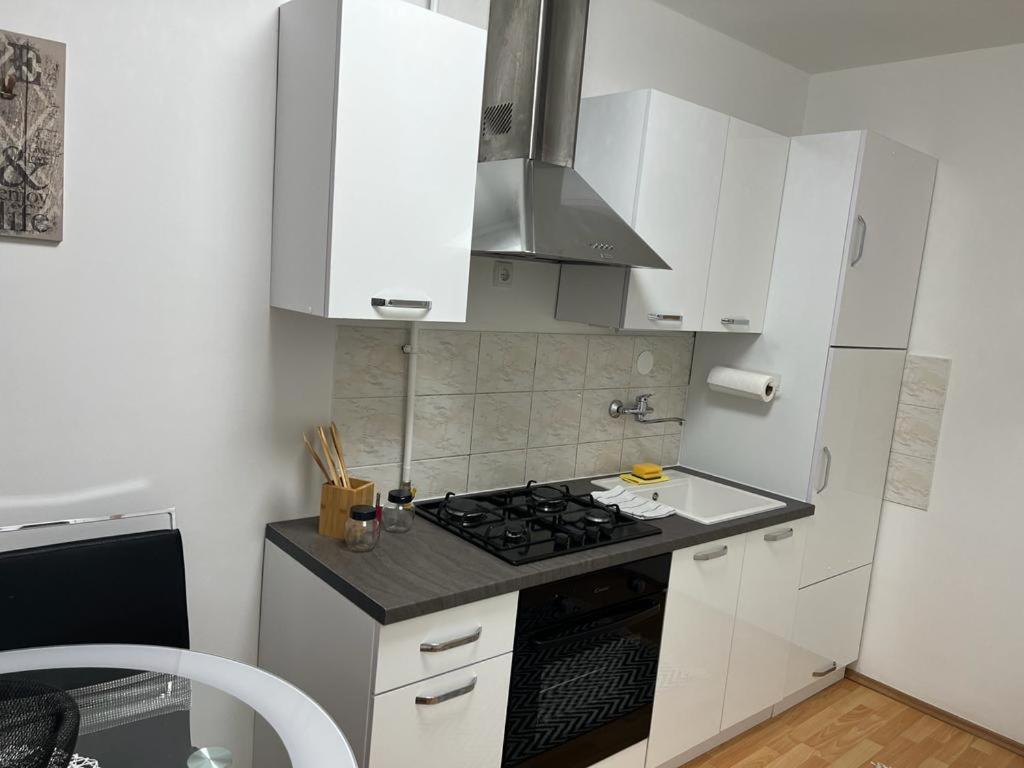 Apartman Lara 자그레브 외부 사진
